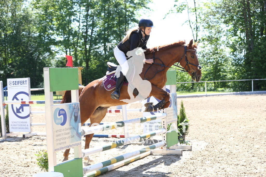 DL2Q1007 | Willkommen bei Brunnmayr - Design & Fotografie – Ihrem Spezialisten für Reitturniere und Pferdeveranstaltungen in Oberösterreich, Salzburg und Bayern! Seit über 17 Jahren sind wir leidenschaftlich dabei.