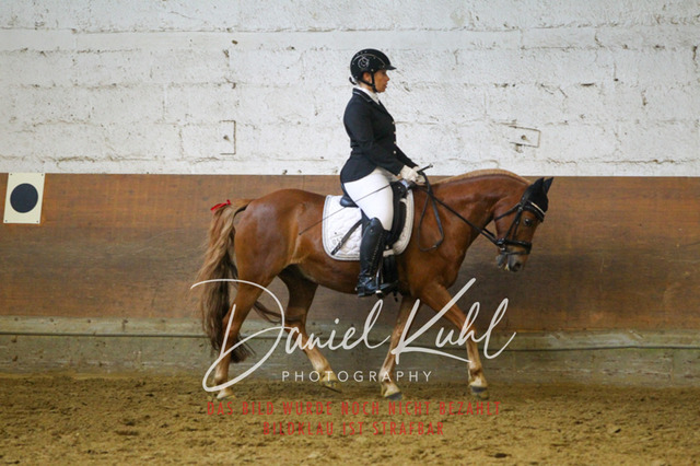 DKP43399 | Turniersportfotografie; Pferdefotografie; Dressurfotografie