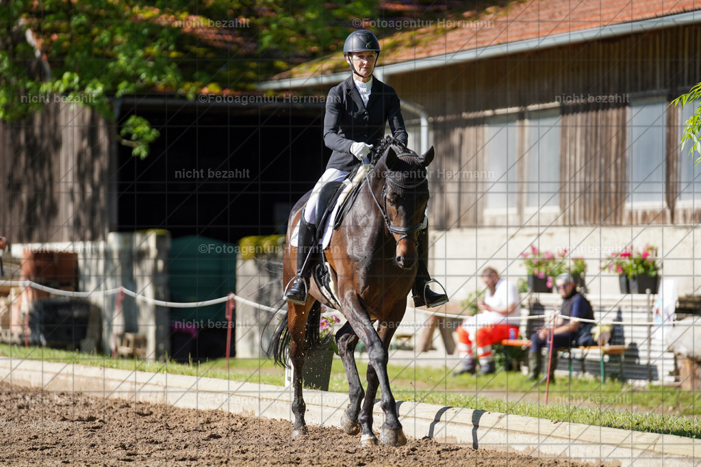 20240519-FAH04465 | Turnierbilder Niederseeon 2024, Vielseitigkeitsdressur, Reitsportbilder aus dem Landkreit Ebersberg, Gut Steinsee, RC Steinsee, Fotoagentur Herrmann