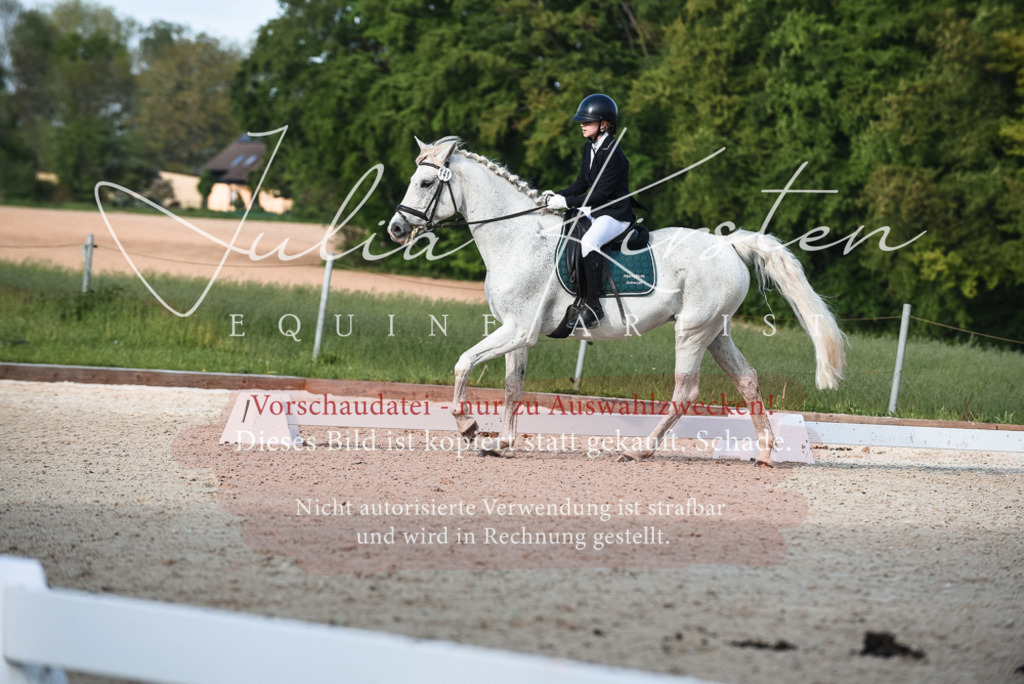 20230518_JK-Röhrsdorf-12-1239 | Pferde- und Turnierfotografie in Westsachsen. Pferdeportraits, Auftragszeichnungen und intuitive Kunst.