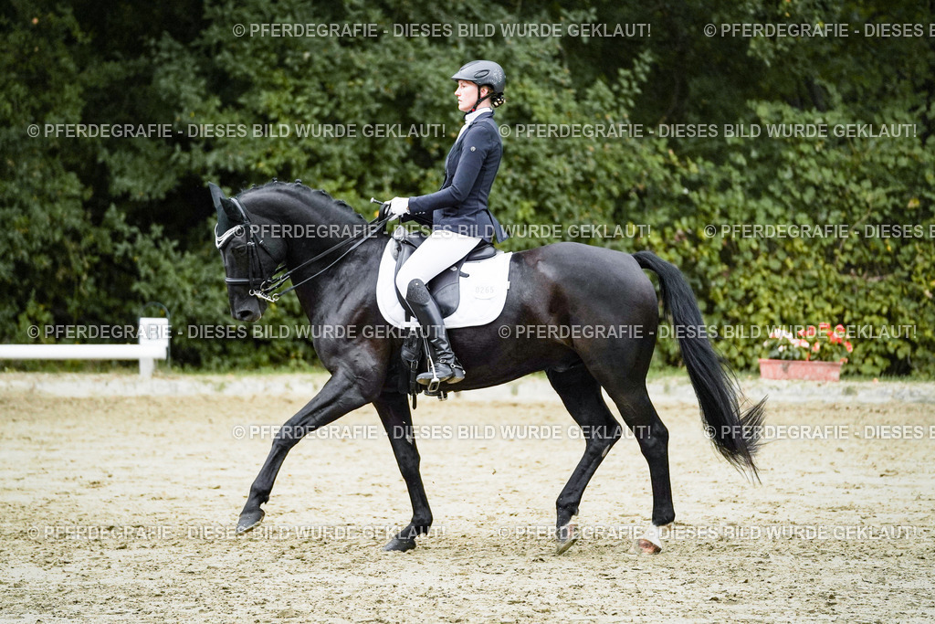 DSC00078 | Pferdegrafie