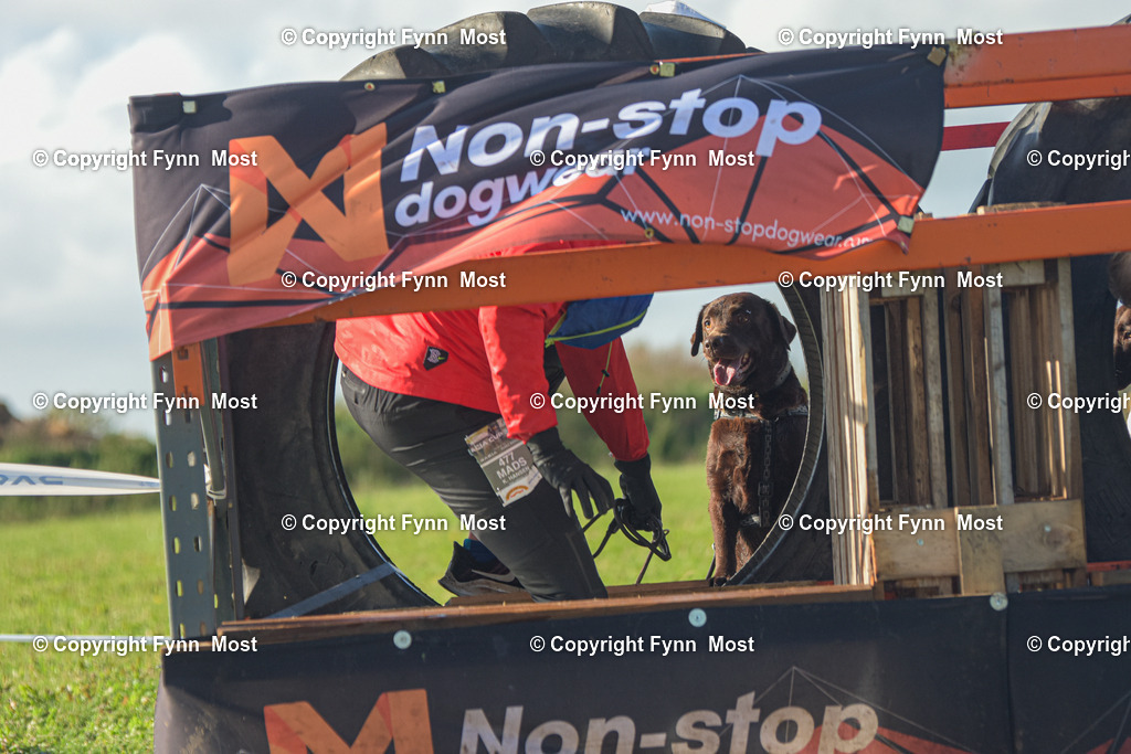 DSC_0713 | Hallo und herzlich Willkommen auf meiner Shop-Seite Fynn Most.

Ich wünsche Dir viel Spaß beim stöbern durch die Bilder, wenn Du Fragen hast oder Bilder vermisst, kannst du mir gerne eine Nachricht schreiben. - Realisiert mit Pictrs.com