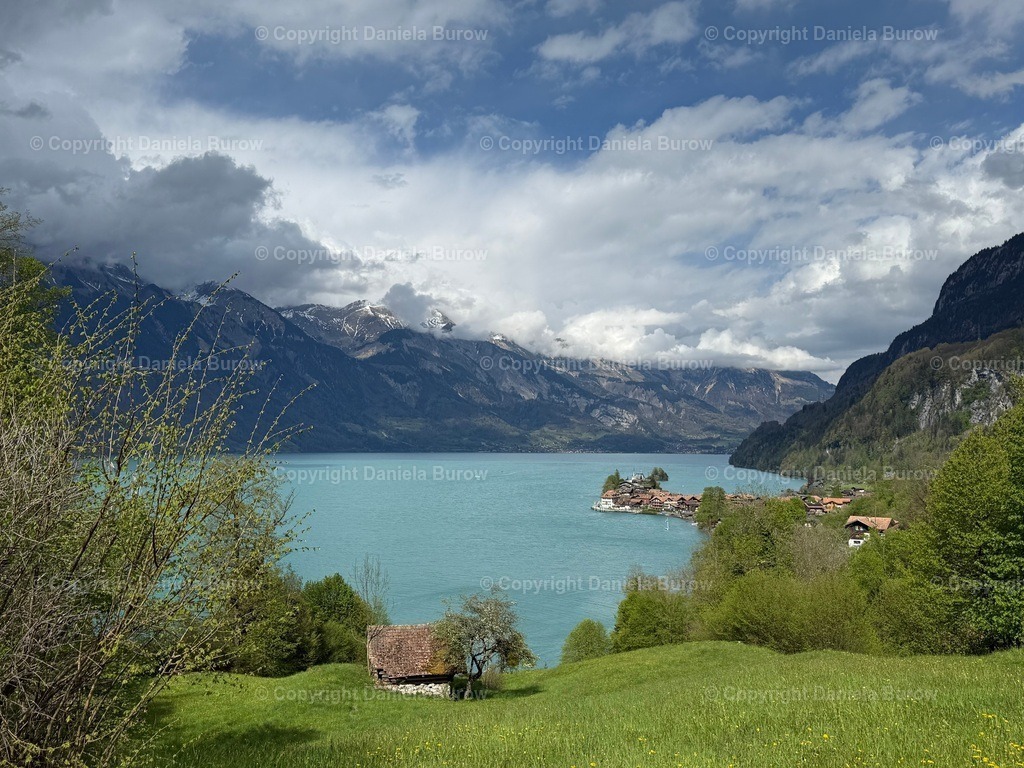 IMG_0312 | danielaburow - Realisiert mit Pictrs.com