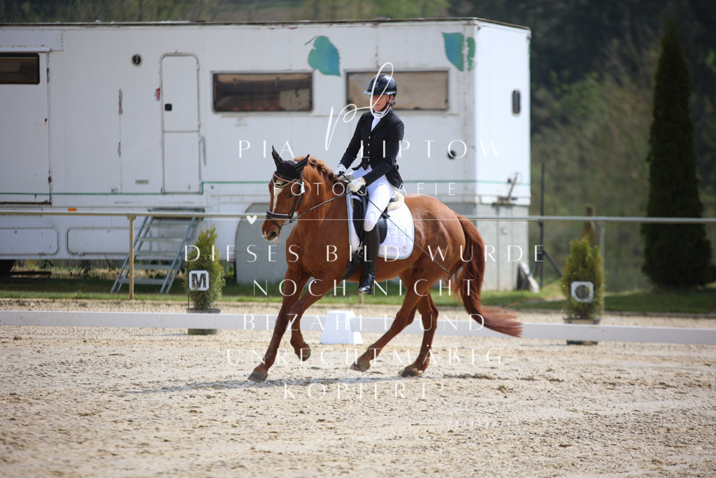 IMGT2528 | pl-fotografie