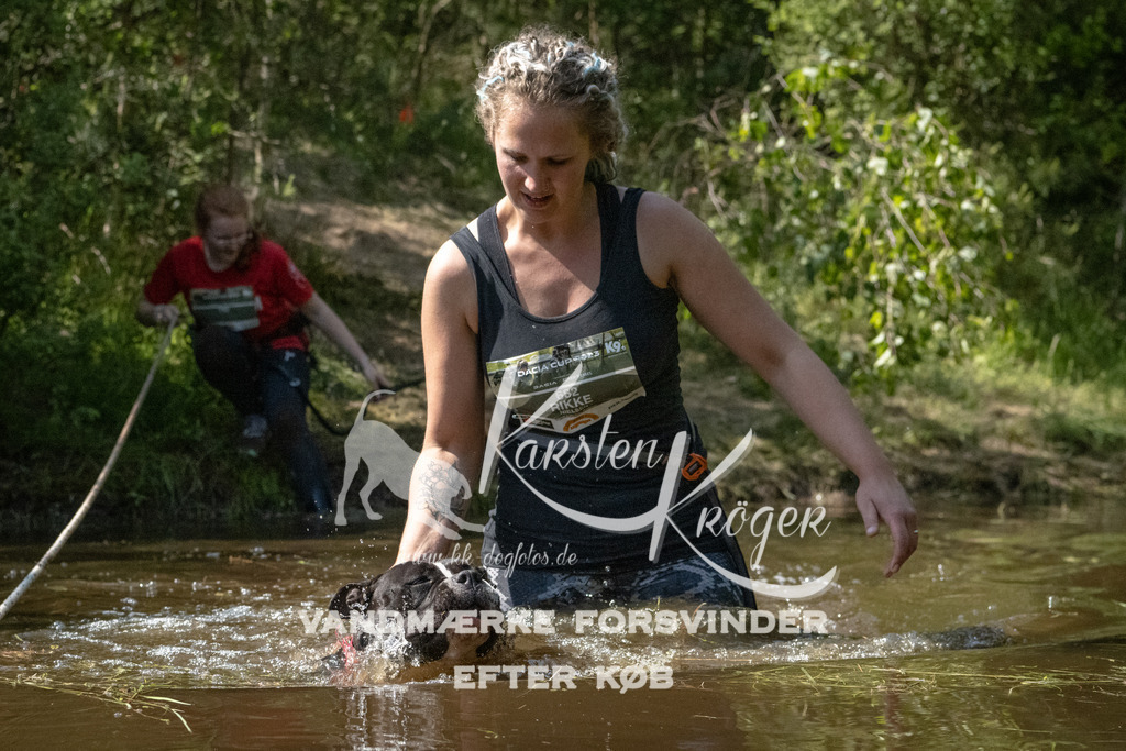 1537DKK991553 | kk-dogfotos