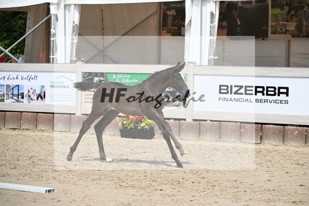 Arezzo Man x Calido I_SF_Maier u Mayerfoels_12250527 | hf-fotografie - Realisiert mit Pictrs.com