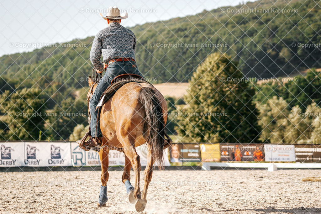 DSC01534 | ikphotography - Realisiert mit Pictrs.com