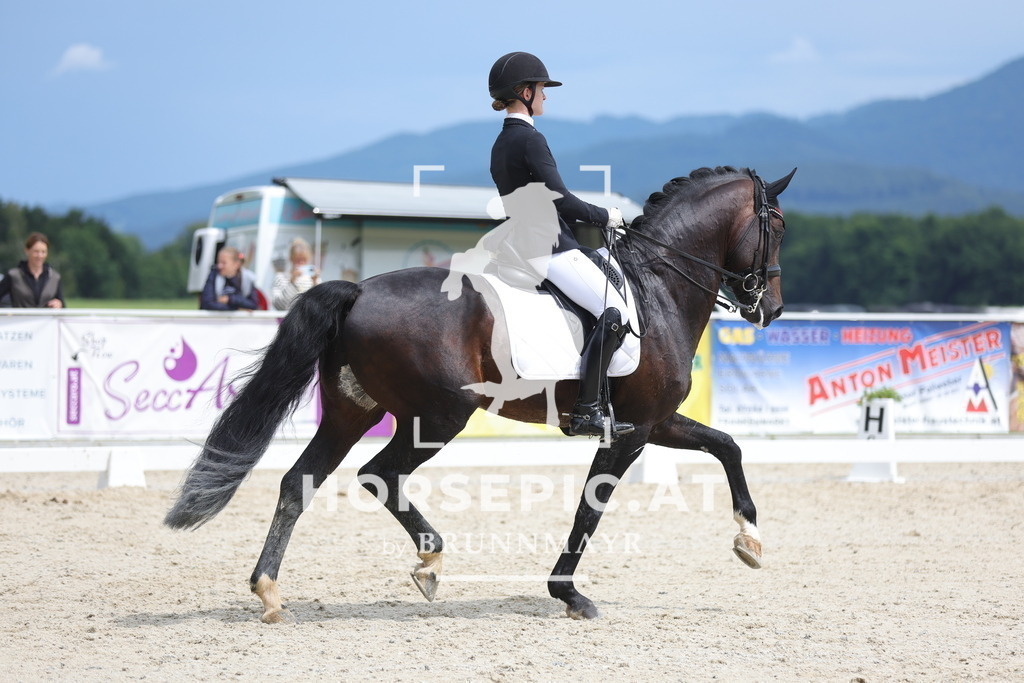 0P6A5473 | Willkommen bei Brunnmayr - Design & Fotografie – Ihrem Spezialisten für Reitturniere und Pferdeveranstaltungen in Oberösterreich, Salzburg und Bayern! Seit über 17 Jahren sind wir leidenschaftlich dabei.