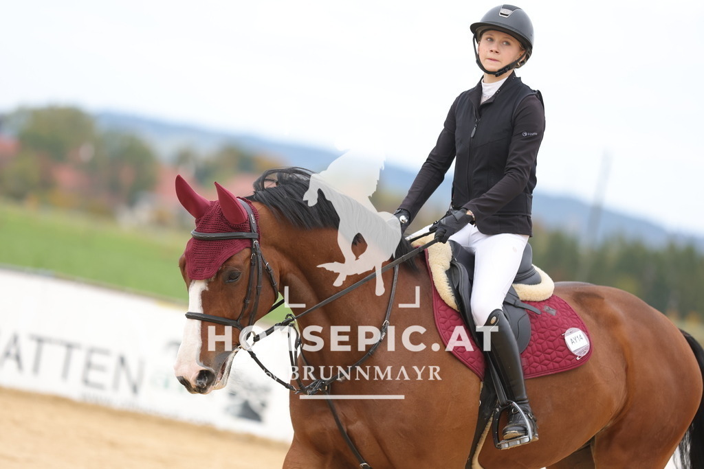 0P6A9148 | Willkommen bei Brunnmayr - Design & Fotografie – Ihrem Spezialisten für Reitturniere und Pferdeveranstaltungen in Oberösterreich, Salzburg und Bayern! Seit über 17 Jahren sind wir leidenschaftlich dabei.