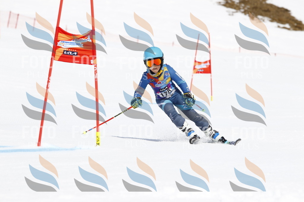 _U3G4612 | holidayphoto