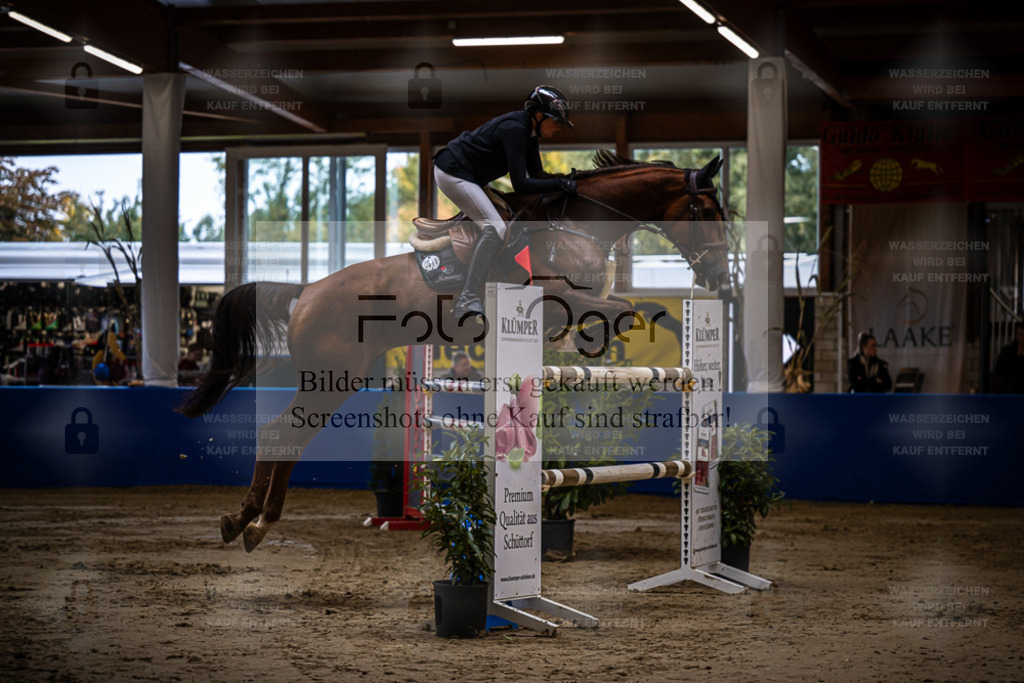 DOS_0387 | Entdecke hochwertige Reitturnierfotos von Foto Oger. Professionell, emotional und authentisch – jetzt Lieblingsmomente im Shop bestellen. - Realisiert mit Pictrs.com