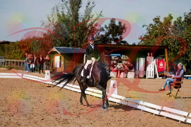 2026_10_03_Siefer-Hof_121708_Z63_40786334 | Professionelle Reitsport-, Turnier- und Eventfotografie von Robert Broda. Galerien mit ausgewählten und bearbeiteten Bildern direkt online ansehen und bestellen.