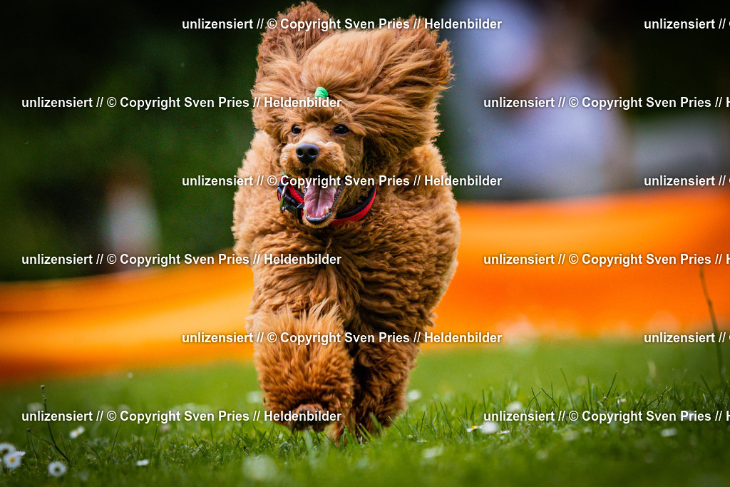 Sven Pries | 2025-05-29 - Pudelrennen KA-Durlach - Realisiert mit Pictrs.com