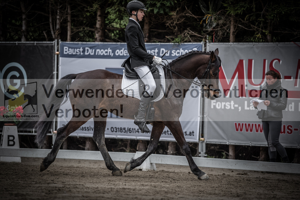DSC_9406 | equestrian-live-com