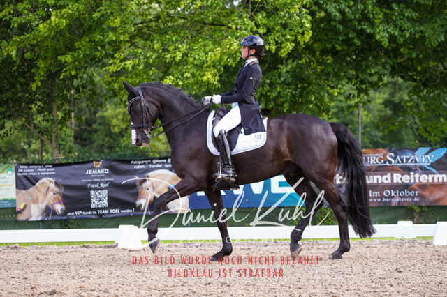 DKP41531 | Turnierfotos kaufen im Webshop von Daniel Kuhl Photography – entdecke professionelle Reitsportfotos aus Turnieren & Events. Hochwertige Turnierbilder online bestellen & sichern. Jetzt Fotos von Reitsportturnieren kaufen!