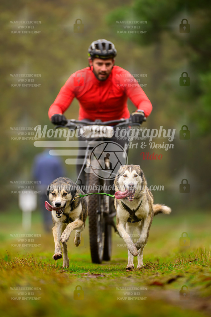 MompixPhotography_Bischwiller2025_Bike-118 | mompixphotography