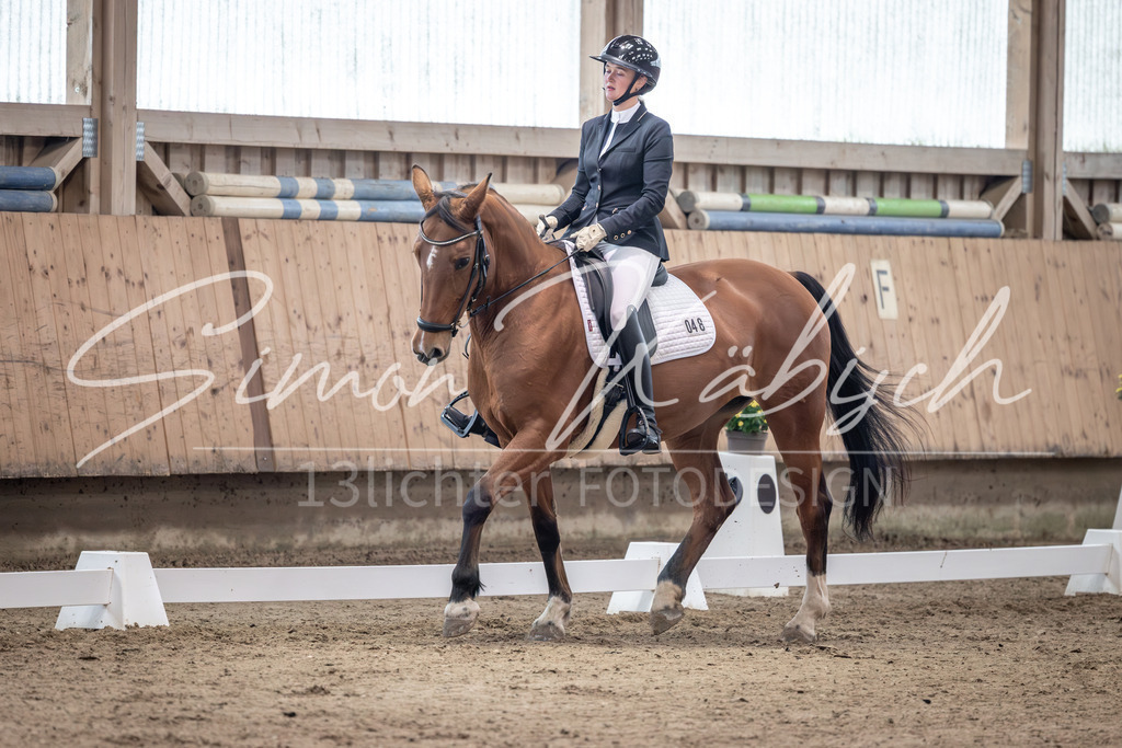 20251011-_3LI9392 | Tierfotografie Pferde, Hunde, Katzen, Haustiere.
Turnierfotografie Reitturniere, Reiten, Springreiten, Dressur in Hanau, dem Main-Kinzig-Kreis und dem Rhein-Main- Gebiet um Frankfurt