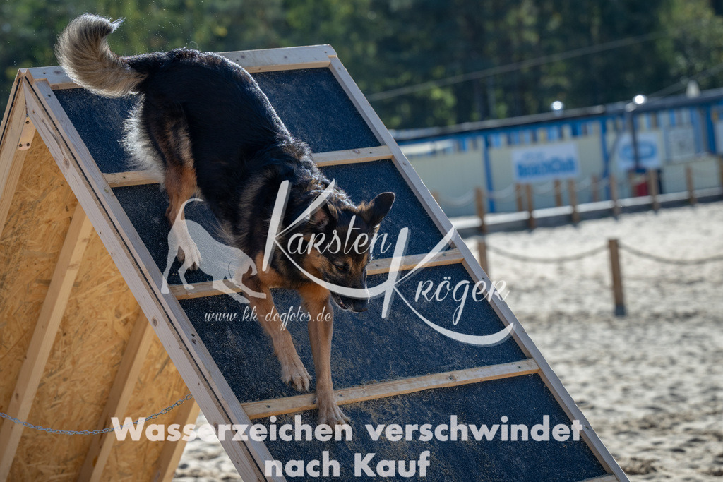1154_ZZ92389-2 | kk-dogfotos