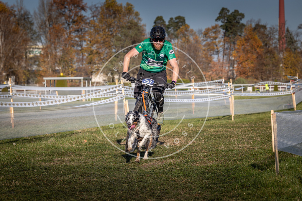 CaniXpix_0L8A4714 | Hundefotografie, Tierfotograf, Pfotenfotografie, Fotoshooting Hund, Hunde Portrait, Hundesport, Hundeportraits, Heideshooting, Hunde, Sportfotograf, Hundefotograf, Turnierhundsport, THS,  - Realisiert mit Pictrs.com