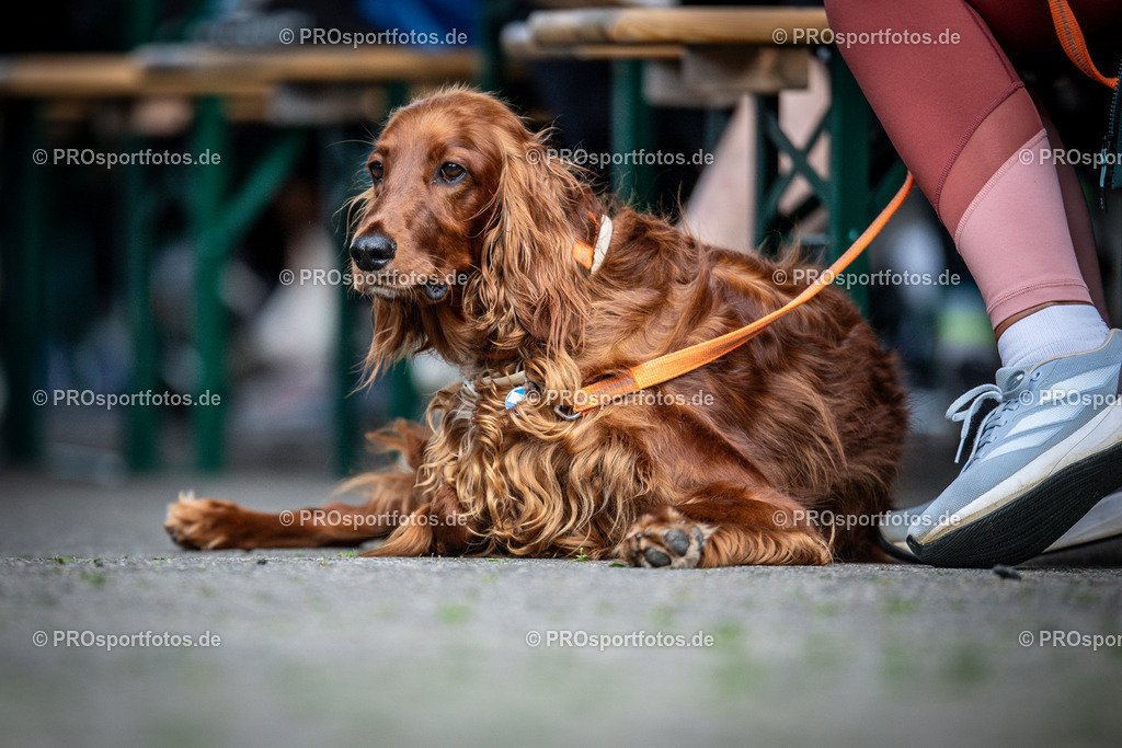 22. ASV Nachtlauf; Koeln, 28.05.25 | Impressionen vom 22. ASV Nachtlauf am 28.05.25 am Tanzbrunnen in Koeln. Foto: BEAUTIFUL SPORTS/Axel Kohring
