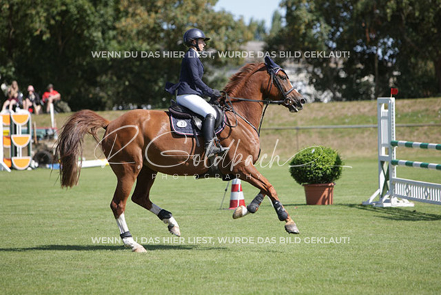 1J2A7164Rica Marlene Scholz_ Kn027_ Capitana Romantica_ Sukow | Foto- und Videografie für alles rund ums Pferd. Hochwertige Bilder und Videos vom Spring- und Dressurreiten, Voltigieren & mehr. Jetzt aktuelle Veranstaltungen und Preise im Shop ansehen. - Realisiert mit Pictrs.com