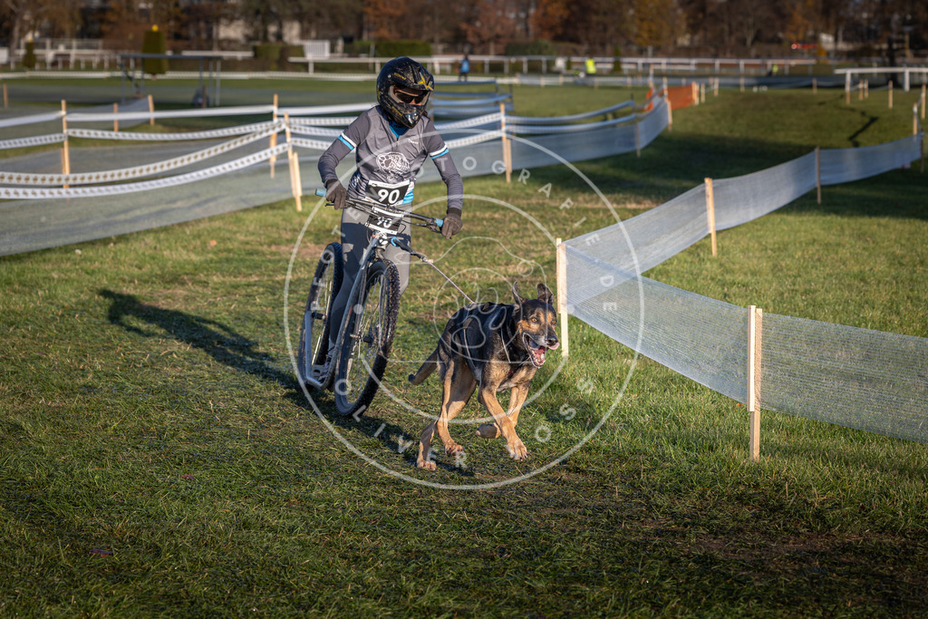 CaniXpix_0L8A3913 | Hundefotografie, Tierfotograf, Pfotenfotografie, Fotoshooting Hund, Hunde Portrait, Hundesport, Hundeportraits, Heideshooting, Hunde, Sportfotograf, Hundefotograf, Turnierhundsport, THS,  - Realisiert mit Pictrs.com