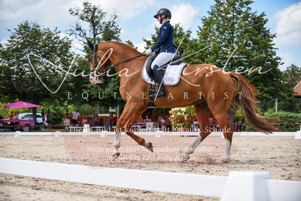 DSC_9234 | Pferde- und Turnierfotografie in Westsachsen. Pferdeportraits, Auftragszeichnungen und intuitive Kunst.