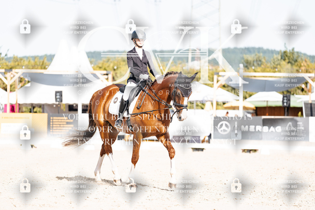CK905566 | Turnierfotografie Pferdefotografie Trier Rheinland-Pfalz Pferdesport Reitsport Tierfotografie Sportfotografie Pferdevideo Pferdevideografie Equestrianvideography equestrianphotography  - Realisiert mit Pictrs.com