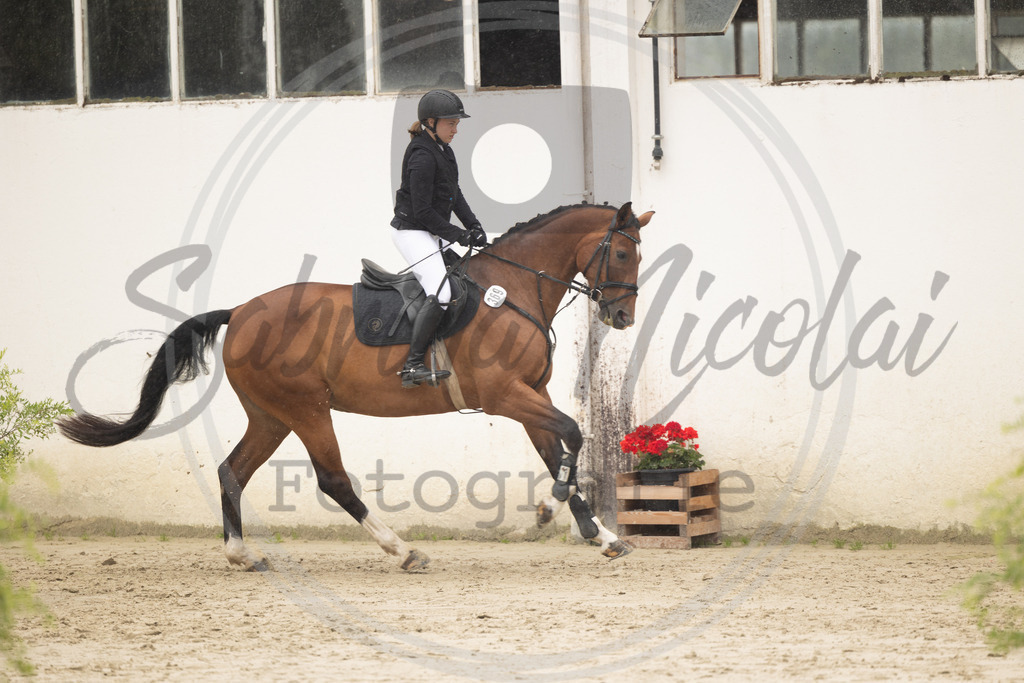 994A9157 | sabrinanicolaifotografie - Realisiert mit Pictrs.com