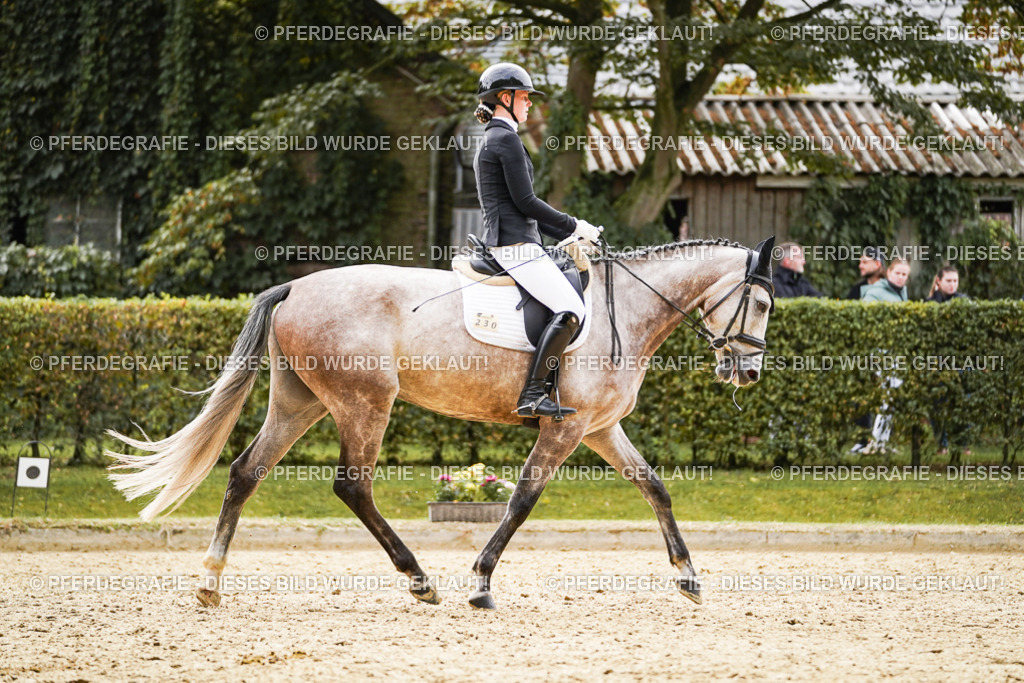 DSC01509 | Pferdegrafie