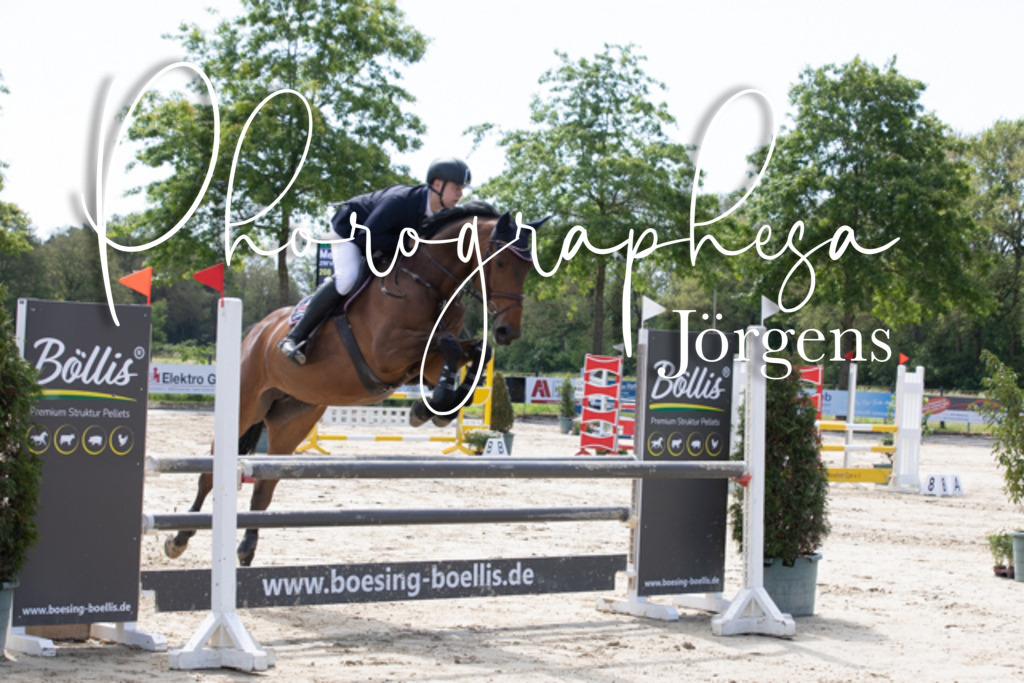 IMG_4029 | photographesa-joergens - Realisiert mit Pictrs.com