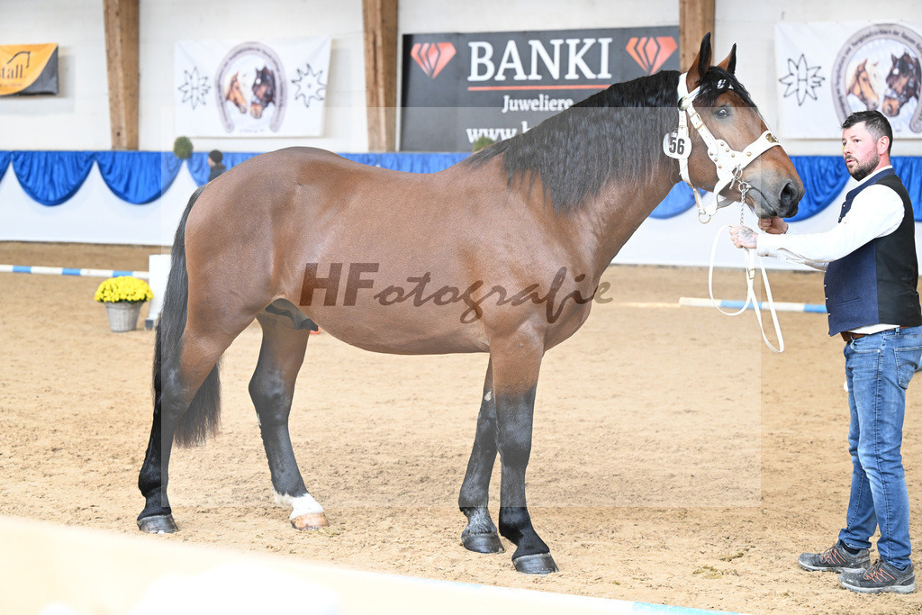 Kat-Nr. 56 Ruck Zuck v. Ratz Fatz_Schwaiger_39250889 | hf-fotografie - Realizzato con Pictrs.com