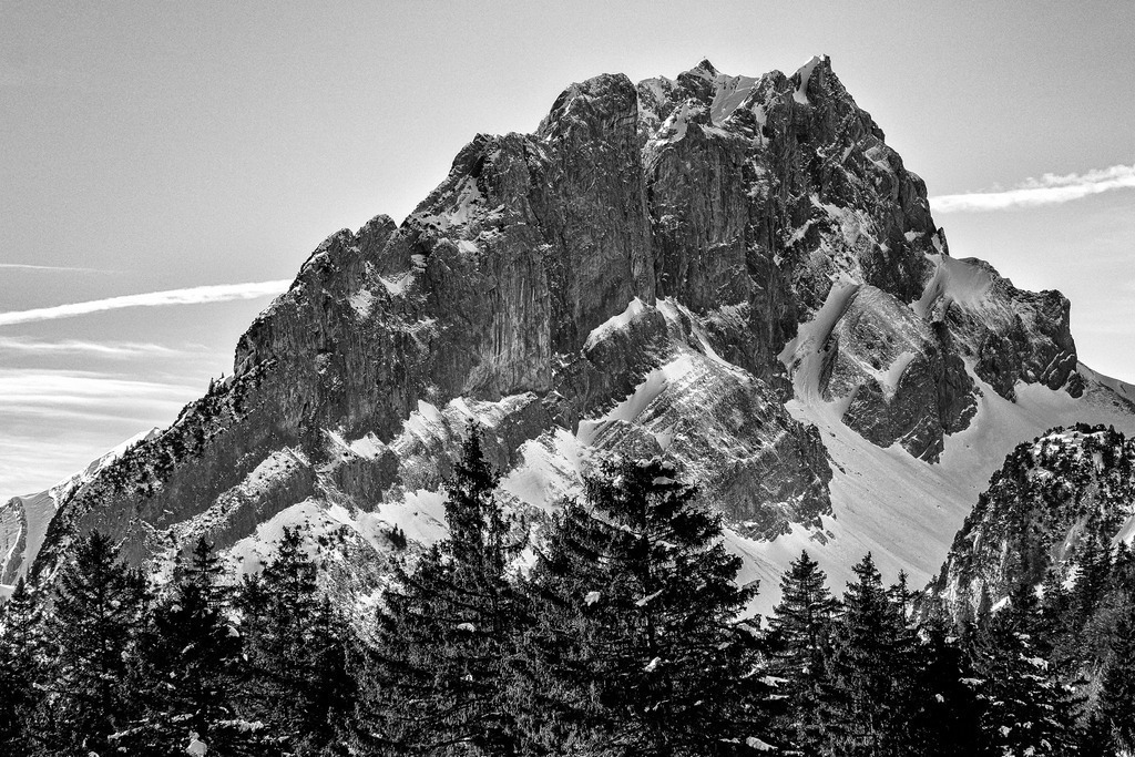 2024_01_14 A7V03084 | bridgeman - Realisiert mit Pictrs.com