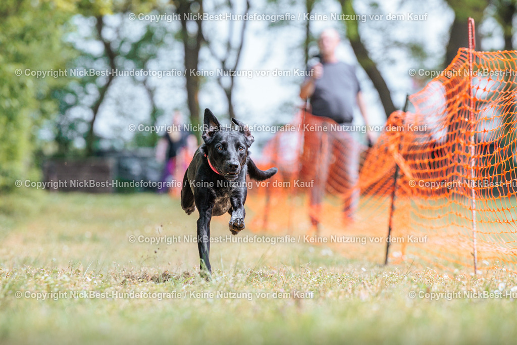 Sage Hunderennen Frühlingsfest-2026-Nickbest-Hundefotografie-0820 | Dein Hund! Dein Moment! Deine Erinnerungen! Hundefotografie in Bremen Blumenthal. Ich fange die besonderen Momente deines Vierbeiners ein – ob Indoor mit Blitzanlage oder in der freien Natur. Sicher dir dein Moment und dein Termin für eure Erinnerungen.