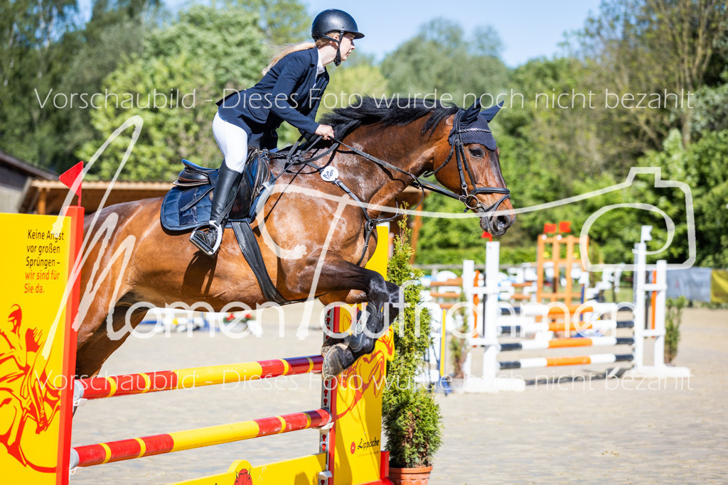 Donop24-A2Spr-013 | MomenTaufnahmen Pferdesportfotos