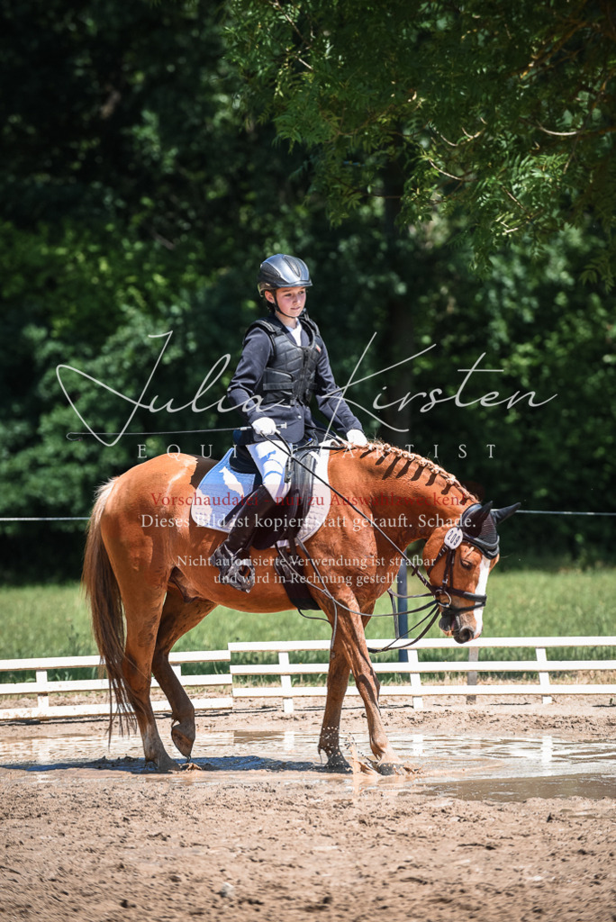 DSC_3241 | Pferde- und Turnierfotografie in Westsachsen. Pferdeportraits, Auftragszeichnungen und intuitive Kunst.