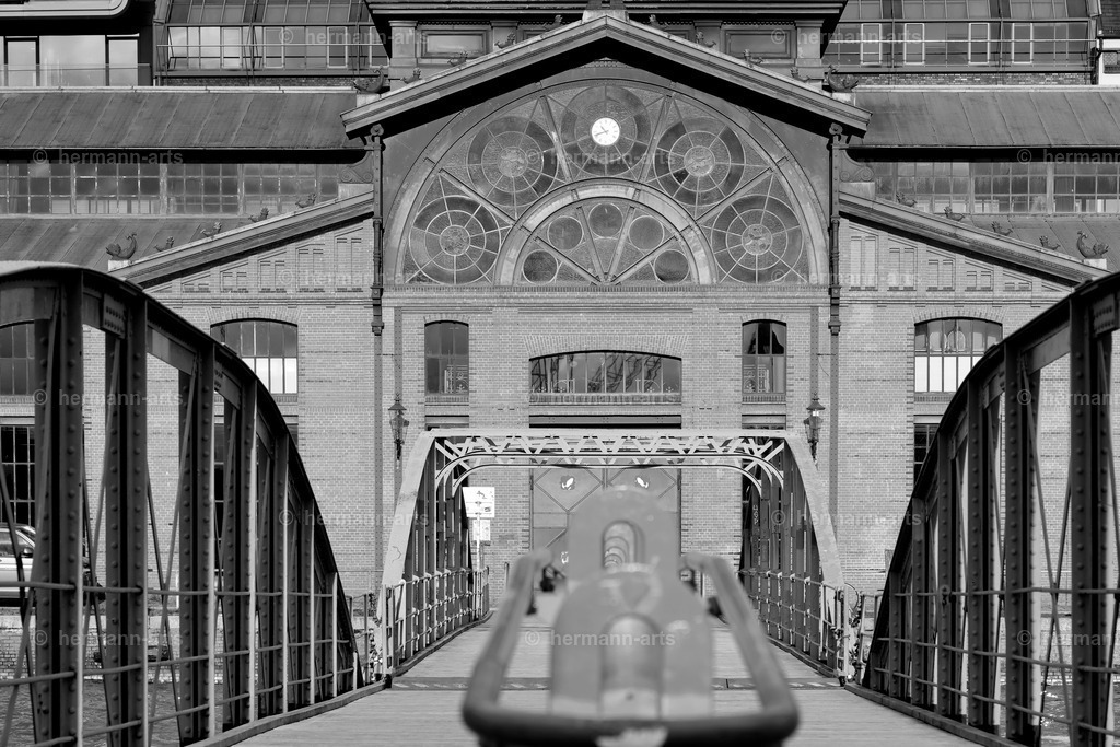 Hamurg_Arts-029 | Photo Foto Kunst Art schwarzweiss Bilder Rheine Münster Berlin Blumen 