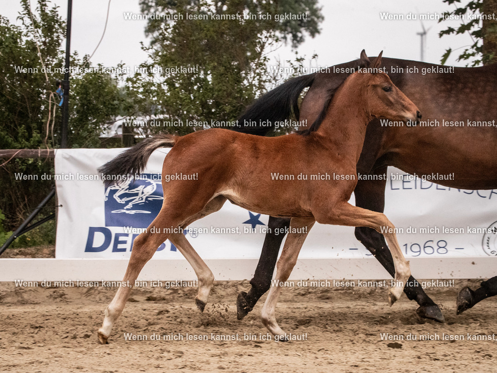 A10I6436 | photographylinaismer - Realisiert mit Pictrs.com