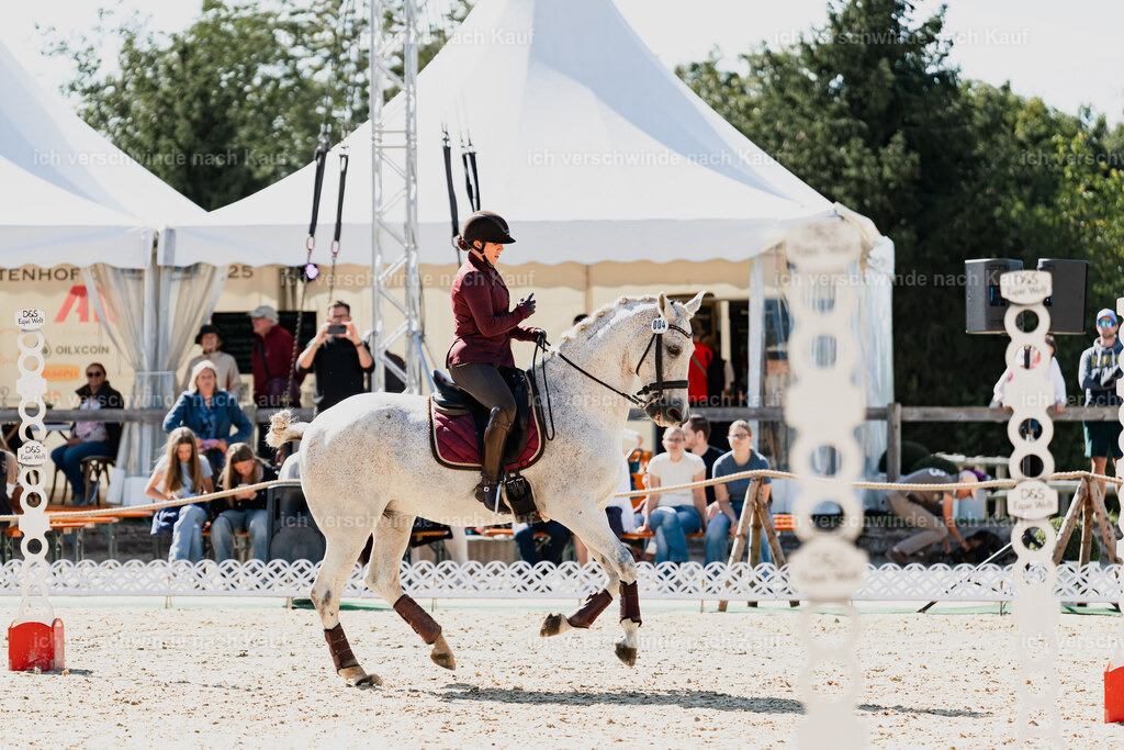 Kelly4_FHC2025-08901 | working equitationturnier fotograf videograf stoibphotography marixx film working equitation deutschland reitsport turnierfotografie eventfotografie equestrian events