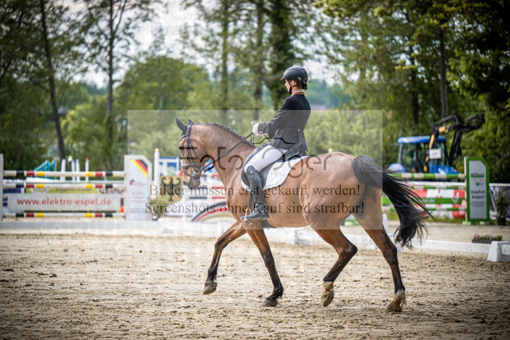 DOS_1133 | Reitturnier Venne - Realisiert mit Pictrs.com