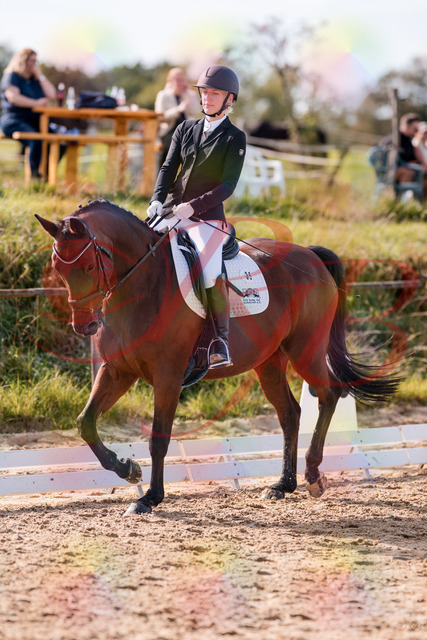 2026_10_03_Siefer-Hof_130901_Z81_62798420 | Professionelle Reitsport-, Turnier- und Eventfotografie von Robert Broda. Galerien mit ausgewählten und bearbeiteten Bildern direkt online ansehen und bestellen.