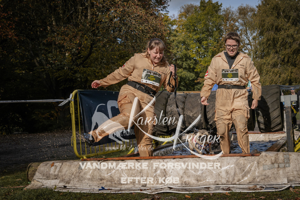 1401_ZZ93781 | kk-dogfotos