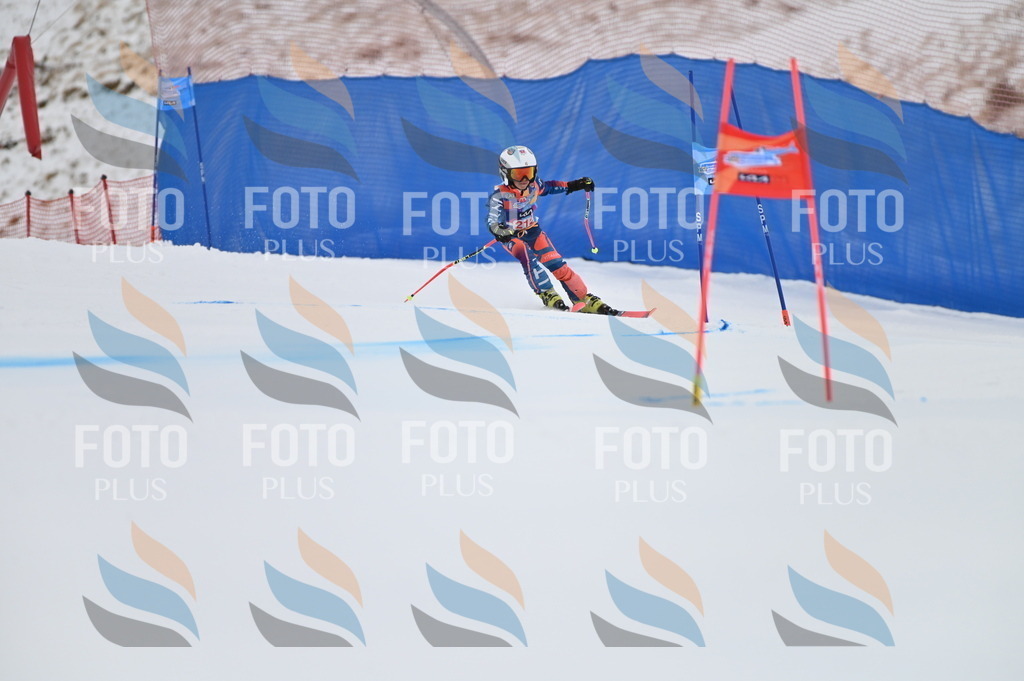 BGV_2483 | holidayphoto