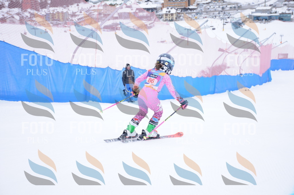 DSC_8208 | holidayphoto