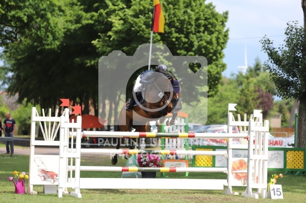 IMG_8912 | Pauline Ullmann Photography - Realisiert mit Pictrs.com