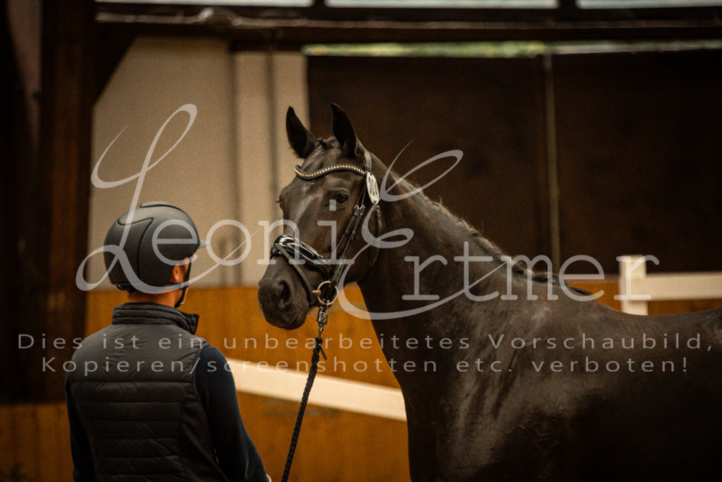 1FS_L00111 | Leoni Ertmer Photography - Realisiert mit Pictrs.com