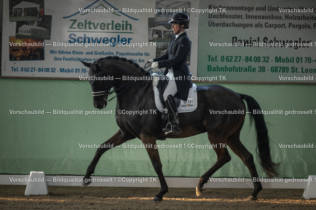 _D5A7653 | Emotionale Pferde- & People-Fotografie rund um Heidelberg, Leimen & Umgebung. Natürliche Fotos von Pferd, Mensch & Familie. Jetzt Termin sichern!