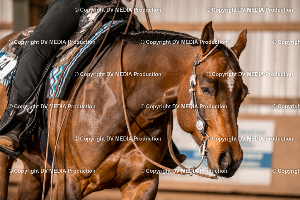 BA400186 | dv-media-shop - Realisiert mit Pictrs.com