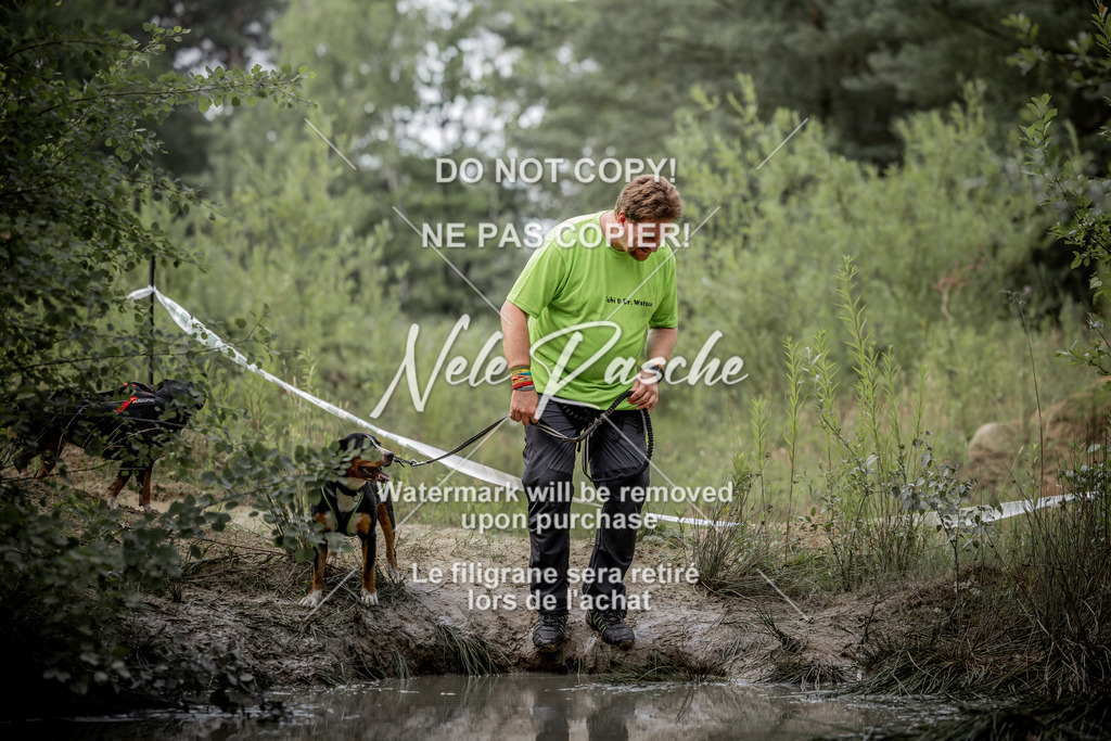 nelerasche_so0800-0930_141 | nelerasche
