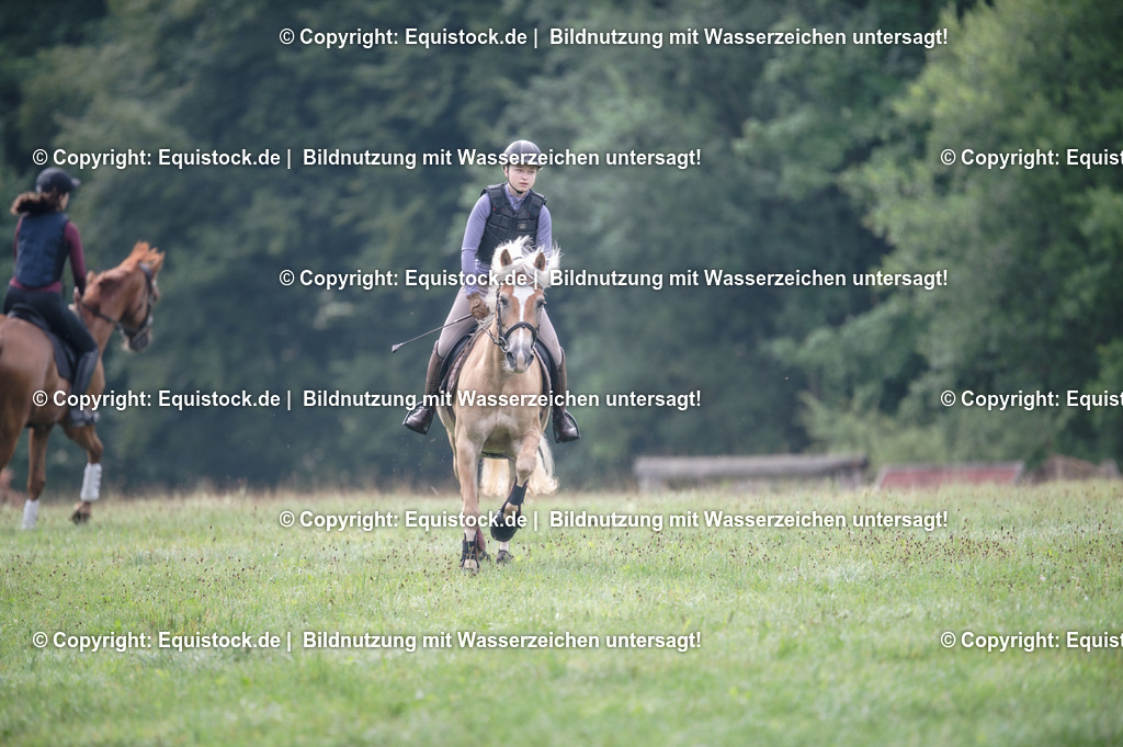 20250726_Vielseitigkeitslehrgang-Marbach_0049 | Foto: Thomas Hartig